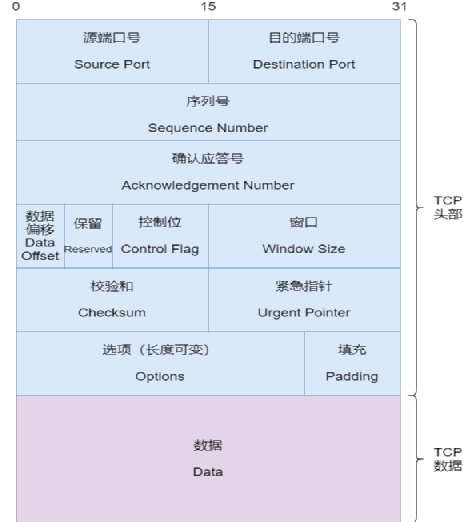 Wireshark