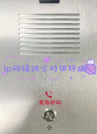 深圳銳科達sv-6005網絡對講終端sipip181微信