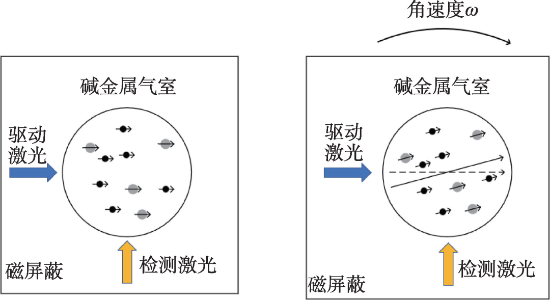 陀螺仪