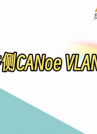 硬件側(cè)CANoe VLAN如何配置？#CANoe #VLAN 