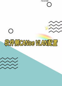 軟件側CANoe VLAN如何配置？#CANoe #VLAN 