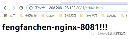 nginx