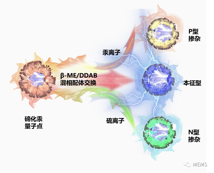 红外探测器