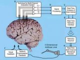 什么是腦機接口技術？腦機接口的原理和分類