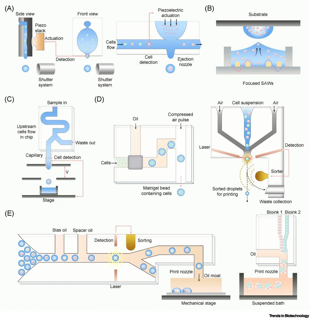 PCR