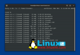 如何在Linux中使用watch命令呢？