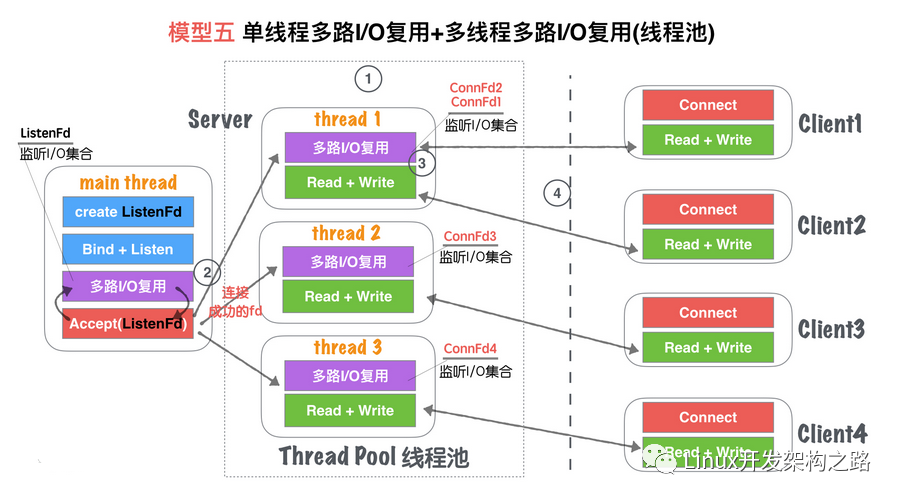 应用程序