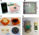 研究人员设计制造一种基于生物阻抗谱的无电池植入式葡萄糖传感器