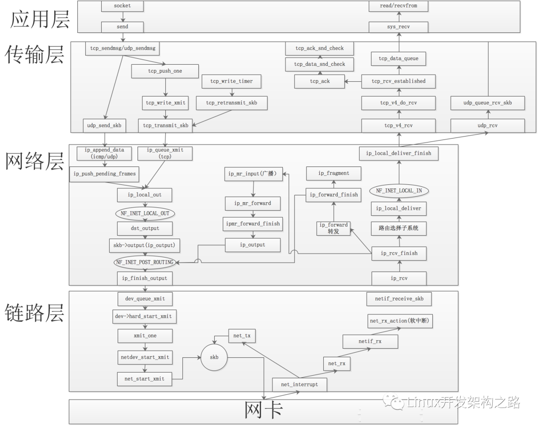 网络设备