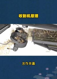 收割机的工作原理#三维机械动画 #机械动态图原理结构 #让技术更有价值 #机械设计