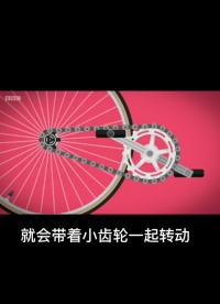為什么自行車輕輕踩一下，就可以走出很遠呢？#萌知計劃 #少兒科普 #少兒科學 #少兒科普動畫