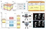 靜電致動-電介質-軟體機器人介紹