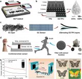 基于機器學習的3D打印保形應變和濕度傳感器實現人體運動預測