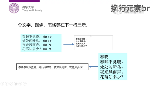 HTML基本标记(2)#计算机 