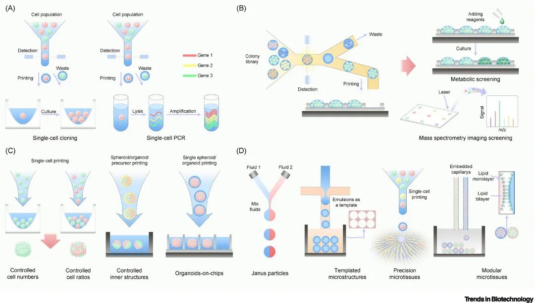 PCR