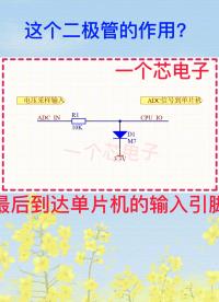 这个二极管的作用是什么？#电子基础知识  #零基础学习电子威廉希尔官方网站
 #二极管 