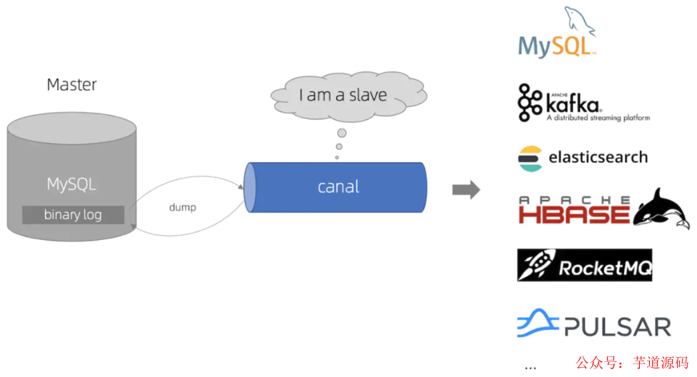 MySQL