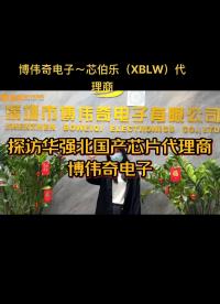 國產制造企業芯伯樂（XBLW）代理商～博偉奇電子，主營高品質國產IC#單片機 #人工智能 #芯片 #機器人 ?