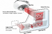 双目光波导AR智能眼镜_显示光机模组和主板硬件设计