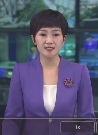 天津芯森電子科技有限公司區電視臺采訪1206
