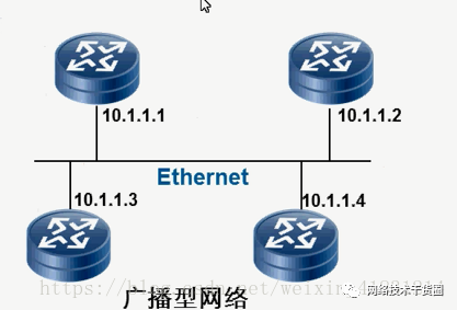 路由协议