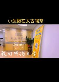 維庫網(wǎng)小泥鰍來探訪***制造商～太古半導(dǎo)體（SWIRE)#芯片 #電子#維庫 