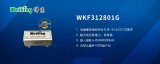 WKF312801G型EMI滤波器产品概述