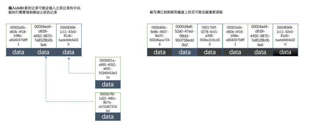 MySQL