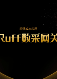 Ruff低成本數(shù)采網(wǎng)關(guān)，低成本滿足工業(yè)遠(yuǎn)程監(jiān)測、市政能耗管理等數(shù)字化需求，售后有保證，產(chǎn)品有認(rèn)證#工業(yè)網(wǎng)關(guān) 