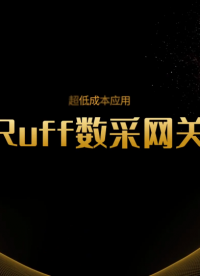 Ruff低成本数采网关，低成本满足工业远程监测、市政能耗管理等数字化需求，售后有保证，产品有认证#工业网关 