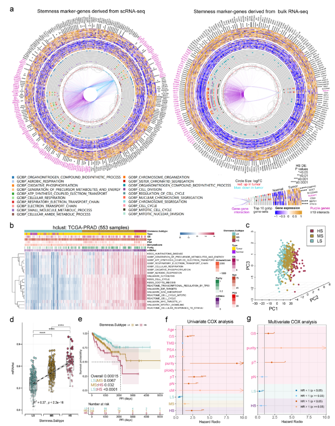 8ecc1ec4-a626-11ee-8b88-92fbcf53809c.png