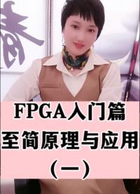 #人工智能 #FPGA FPGA入門篇＿至簡原理與應用（一）