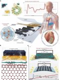 用于多功能表皮電子與心臟貼片的激光誘導可拉伸生物電子界面