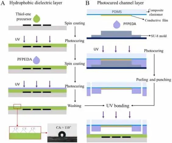 PCR