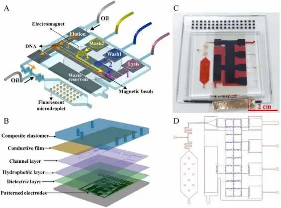 PCR