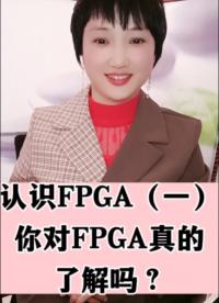 #人工智能 #FPGA #物聯(lián)網(wǎng) 認(rèn)識(shí)FPGA（一）你對(duì)FPGA真的了解嗎？