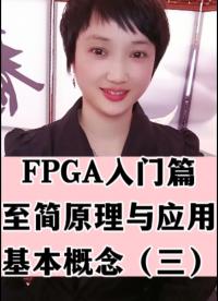 #物联网 #人工智能 #FPGA FPGA入门篇-至简原理与应用-基本概念（三）