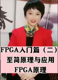 FPGA入門篇（二）至簡原理與應用-FPGA原理#工作原理大揭秘 #人工智能 #FPGA #電子愛好者 