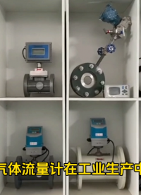 氣體流量計在工業生產中應用#農業物聯網 #專科生 #plc教學 #警車燈電路 #溶氧儀校準 #智慧能源 