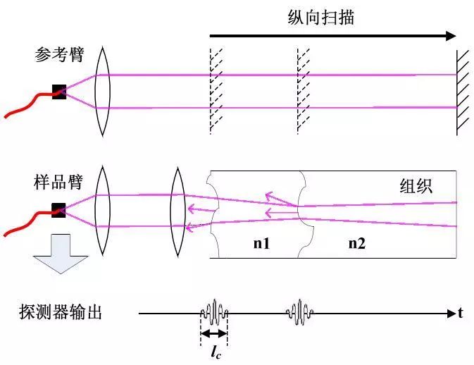 ca18fd96-b8c6-11ee-8b88-92fbcf53809c.jpg