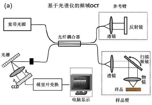 ca2ce518-b8c6-11ee-8b88-92fbcf53809c.jpg