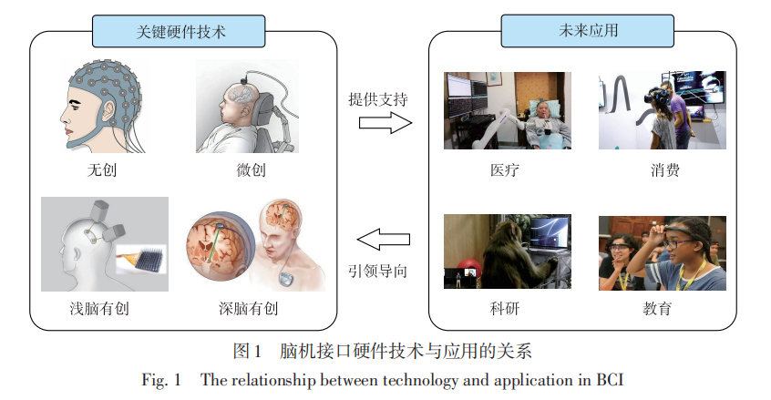 脑电信号