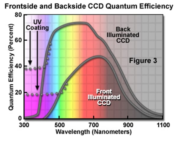 CCD