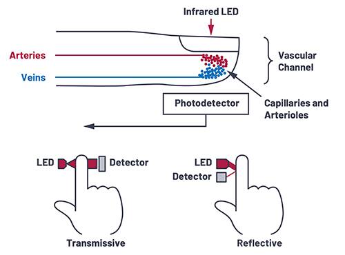 可在简单的脉搏血氧仪和心率传感器中使用的红外 LED 的示意图