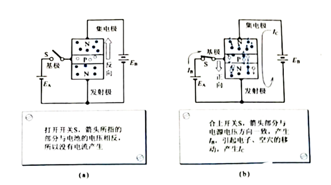 放大电路