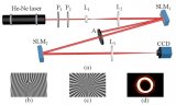 請問如何使用徑向相位光柵可擴展的光子拓撲電荷檢測呢？