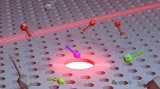 有望加速甚至改变噬菌体的芯片纳米“光镊”
