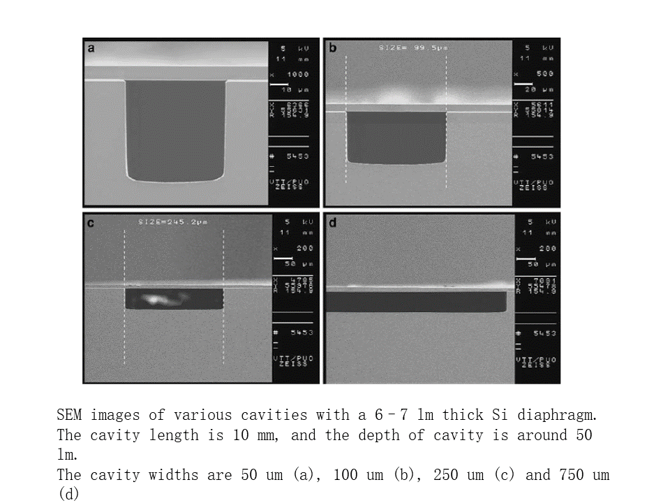 ce3a8ddc-db61-11ee-a297-92fbcf53809c.png