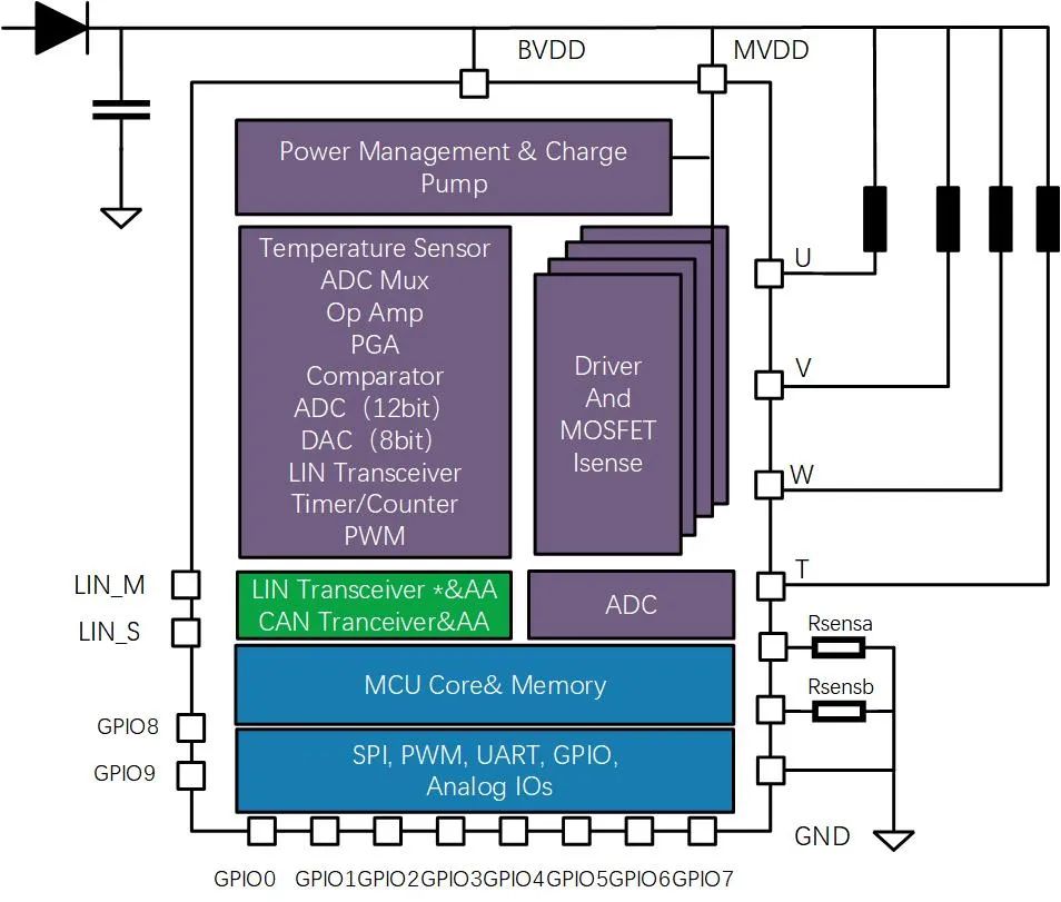 4dcc7652-dcbe-11ee-a297-92fbcf53809c.jpg