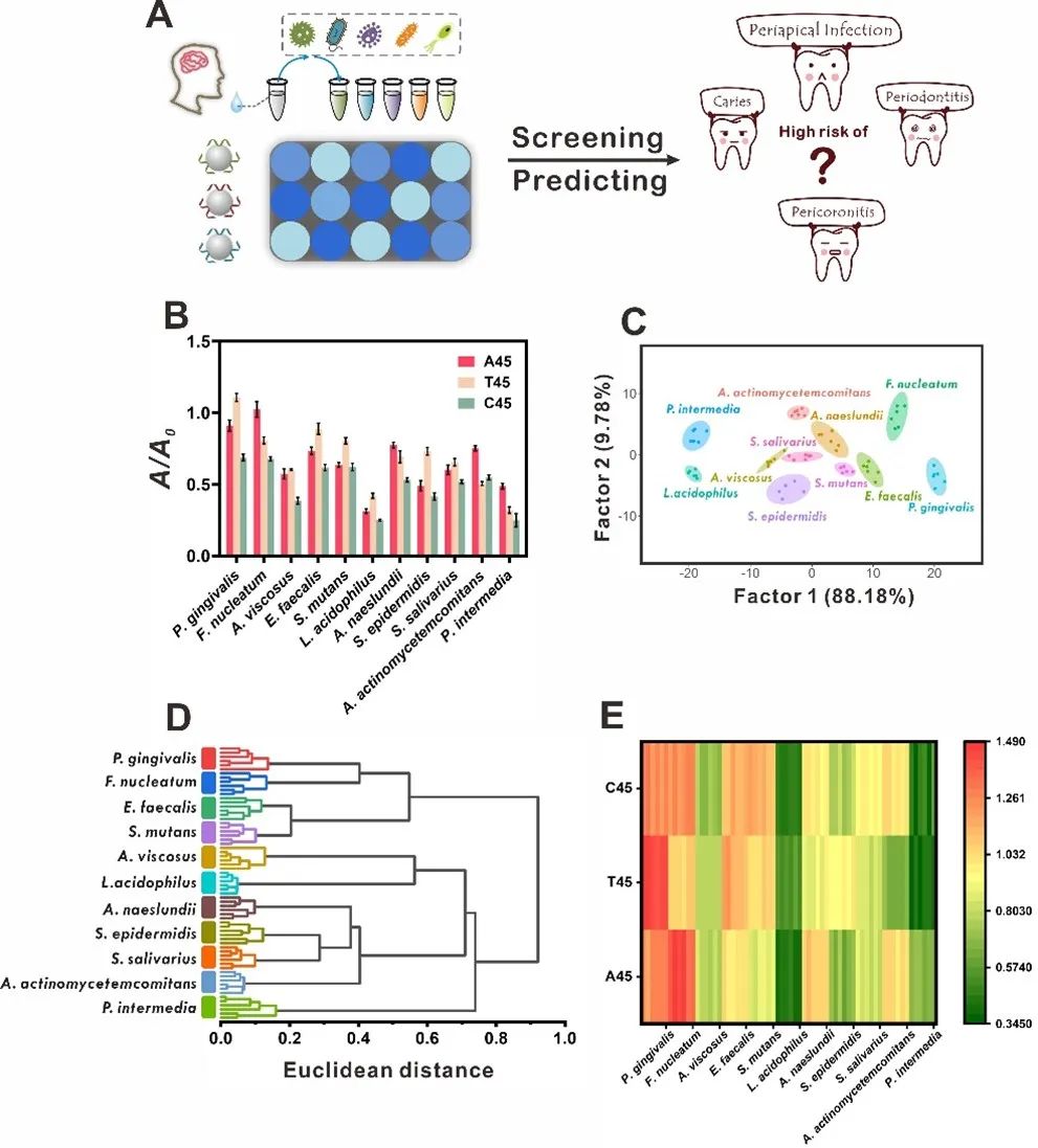 PCR